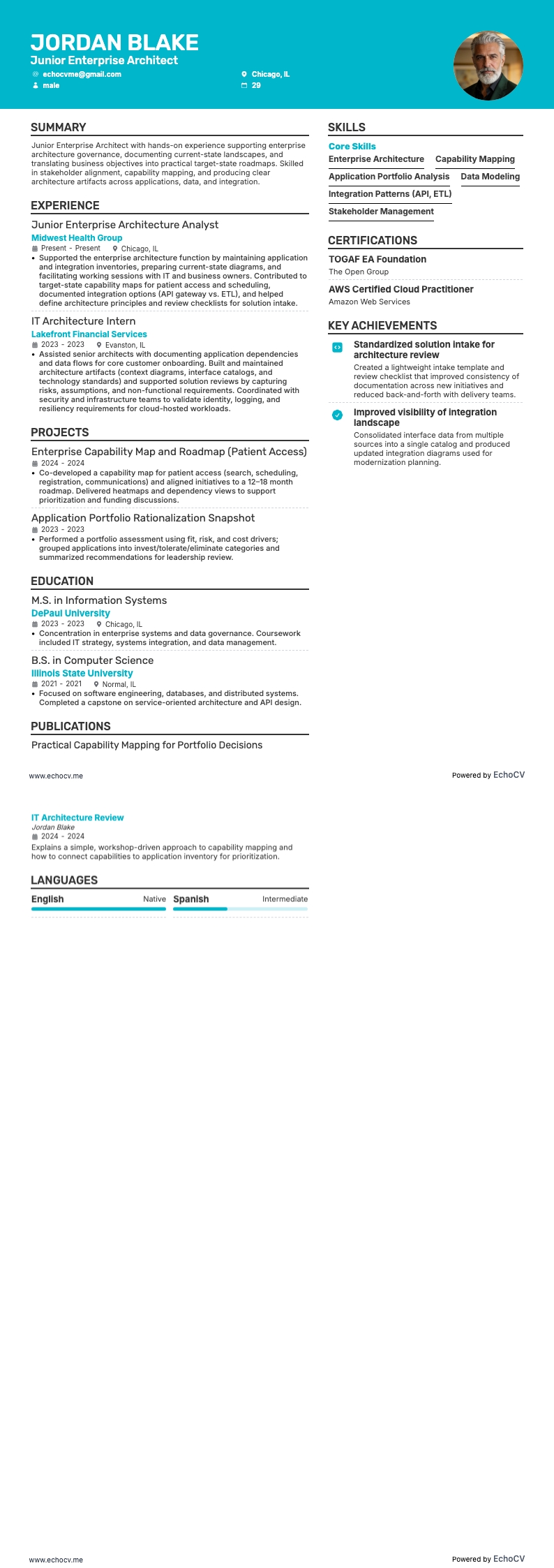 Junior Enterprise Architect full preview