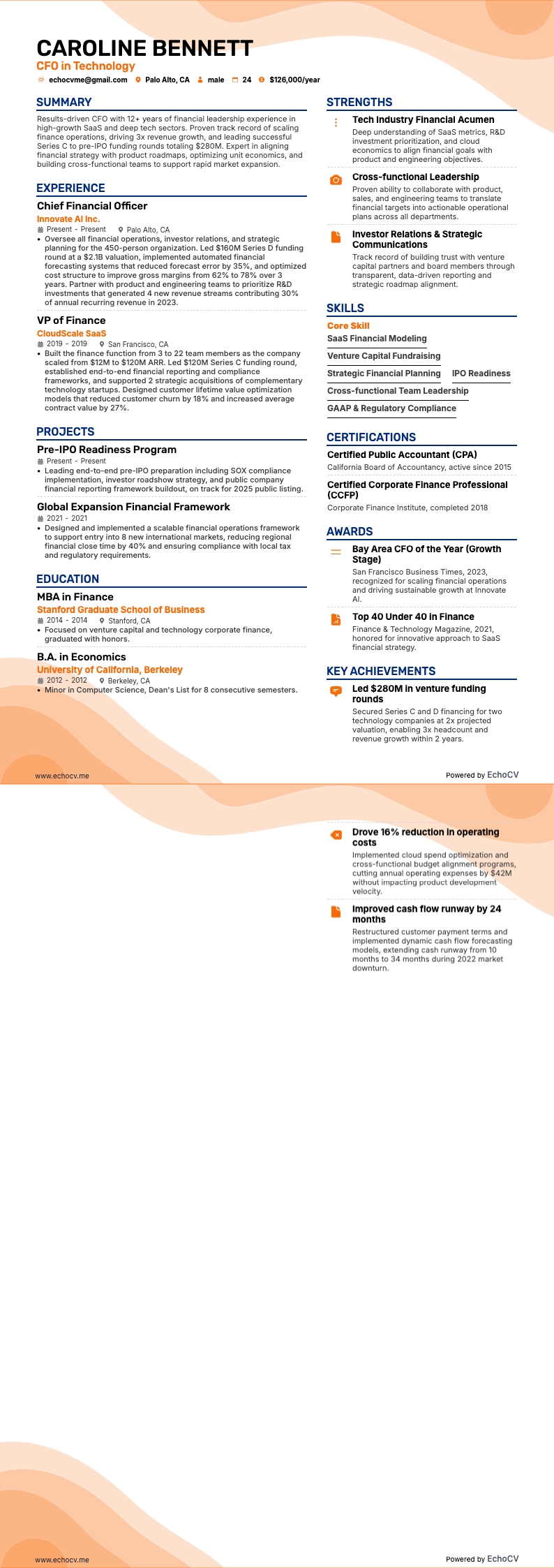 CFO in Technology example resume