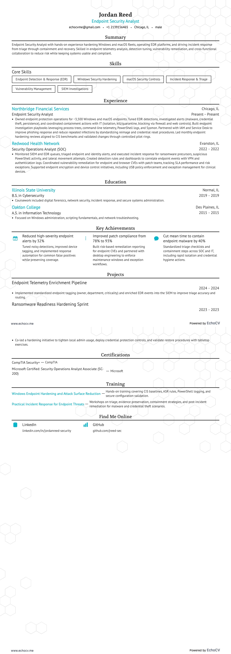 Endpoint Security Analyst example resume