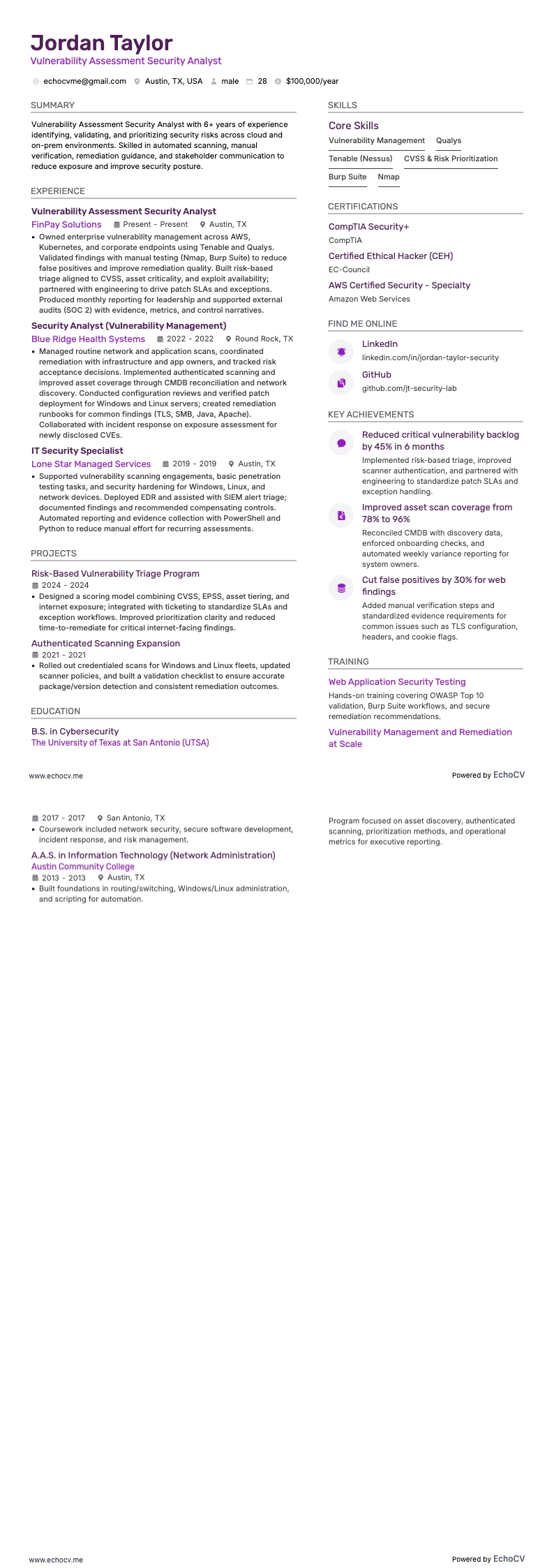 Vulnerability Assessment Security Analyst example resume