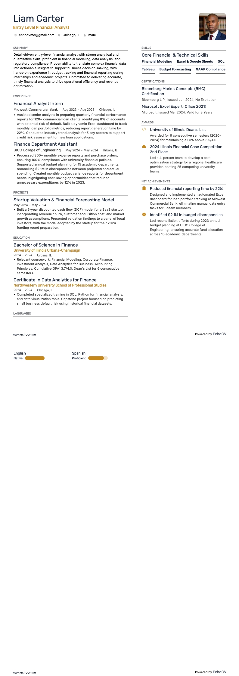 Entry Level Financial Analyst example resume