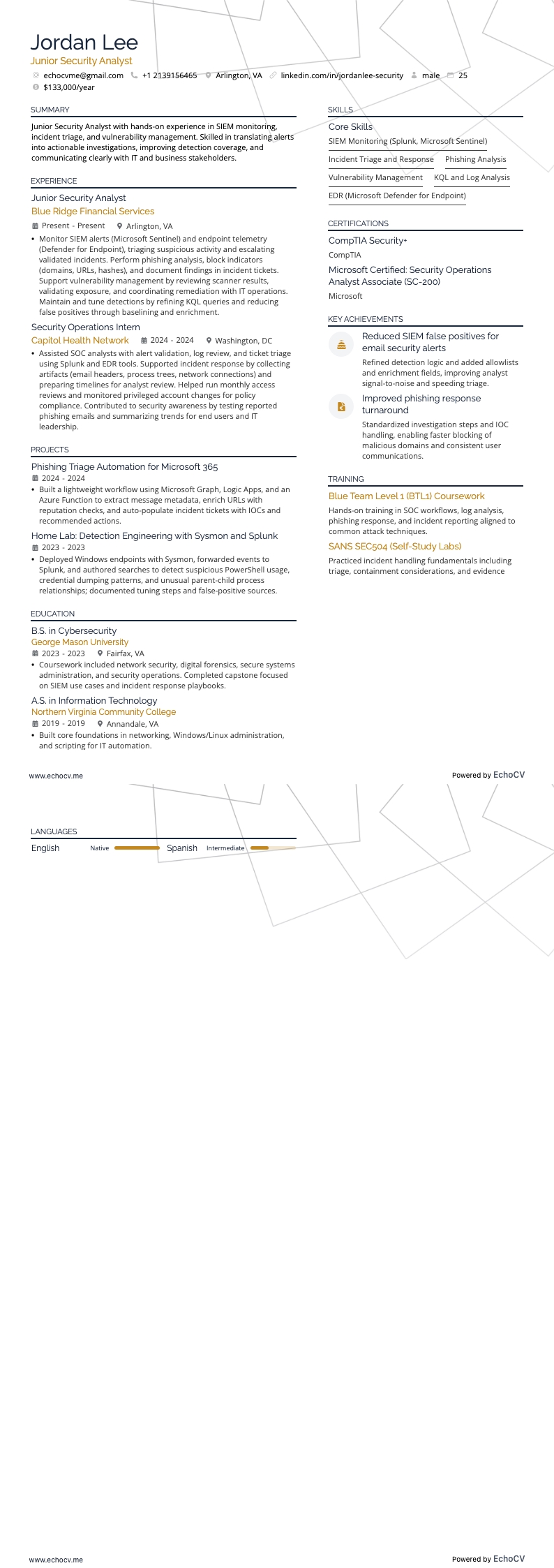 Junior Security Analyst example resume