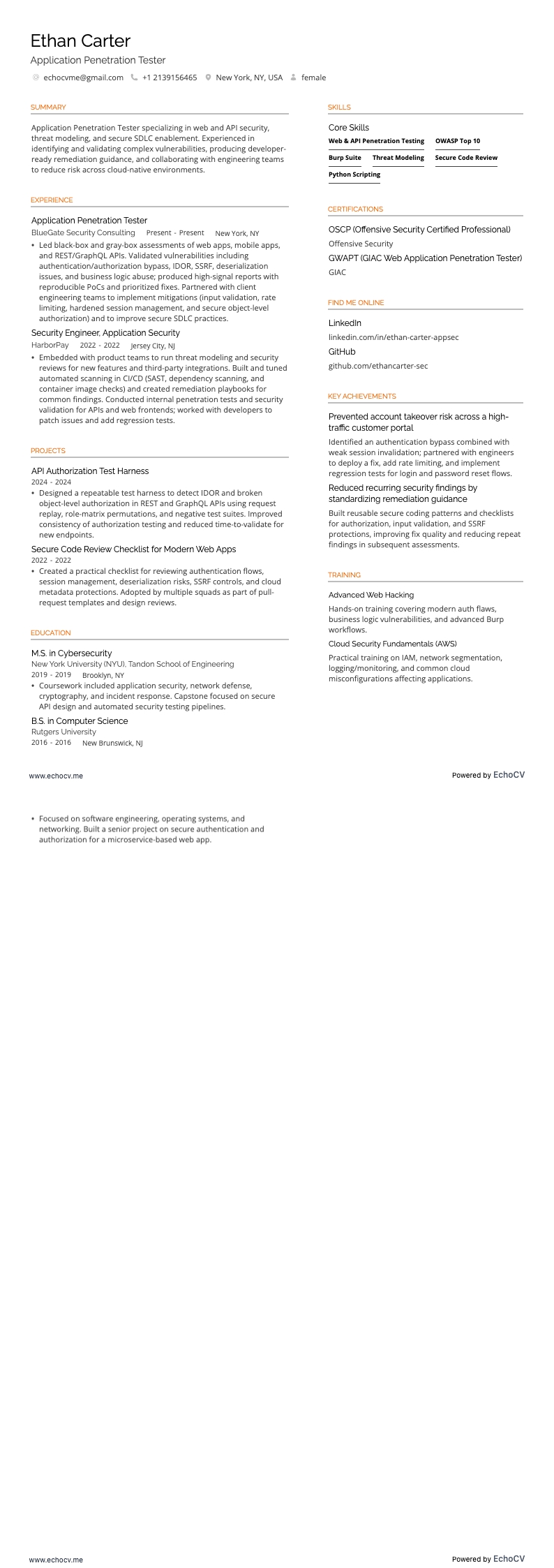 Application Penetration Tester example resume