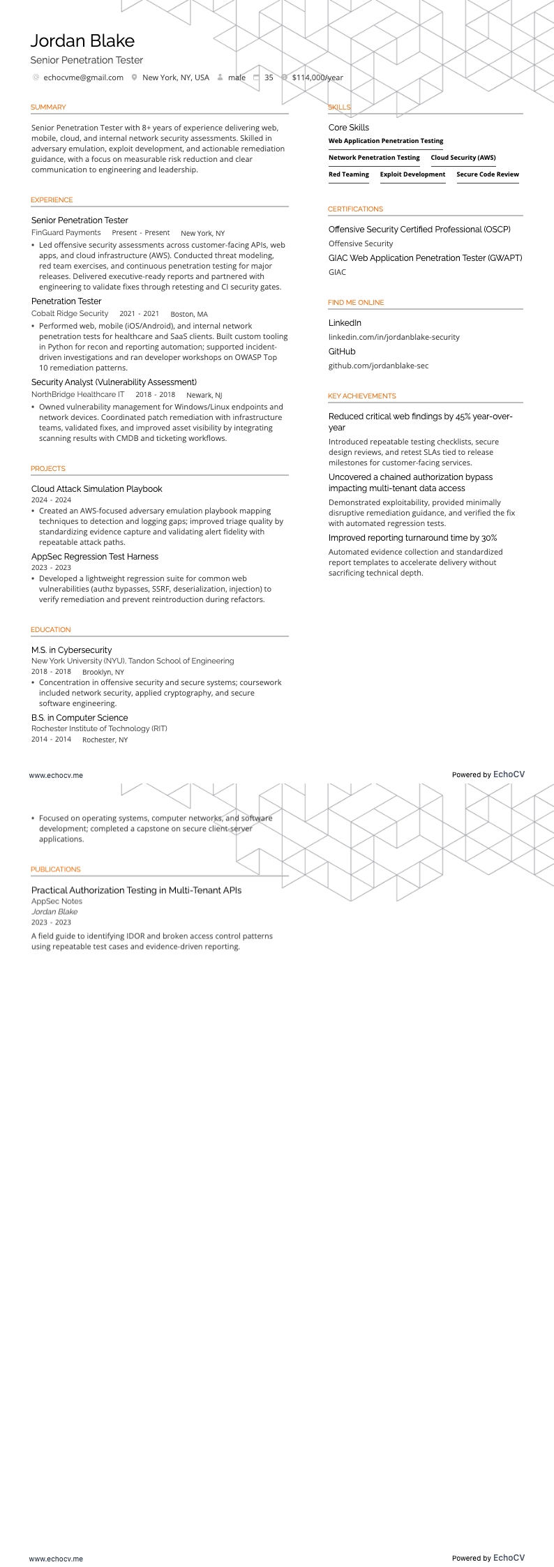 Senior Penetration Tester full preview