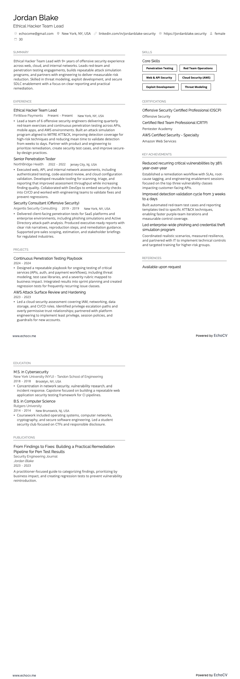 倫理的ハッカーチームリーダー example resume
