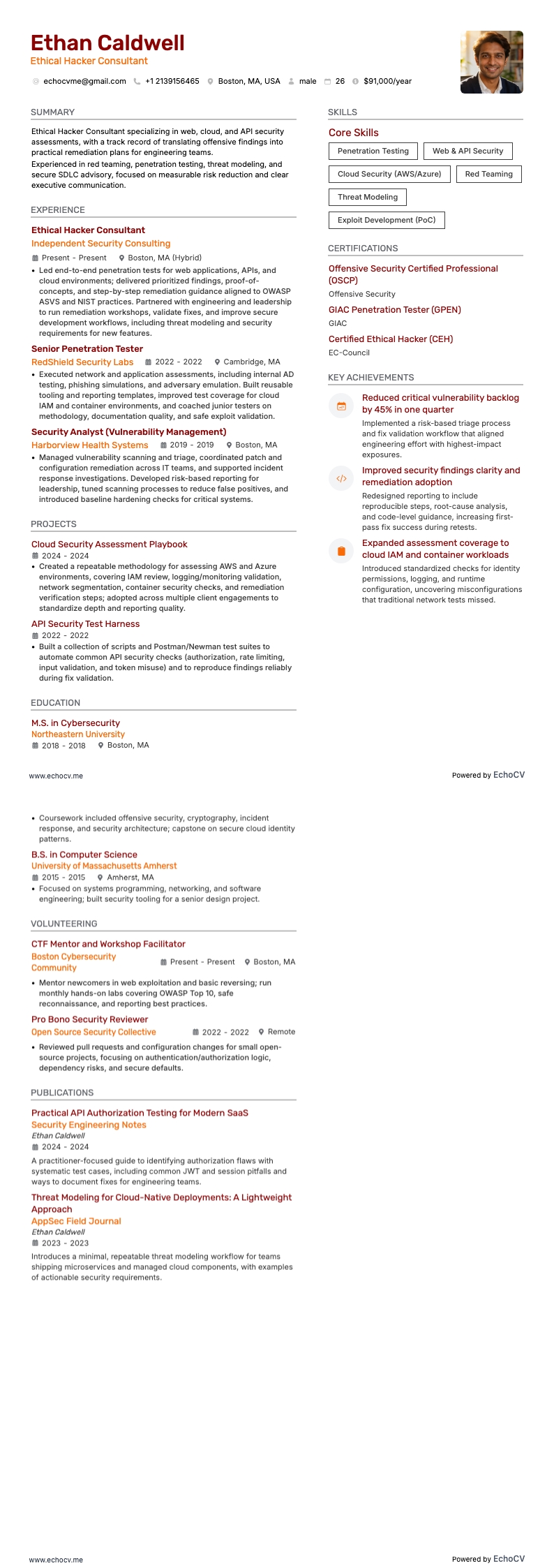 倫理的ハッキングコンサルタント resume example