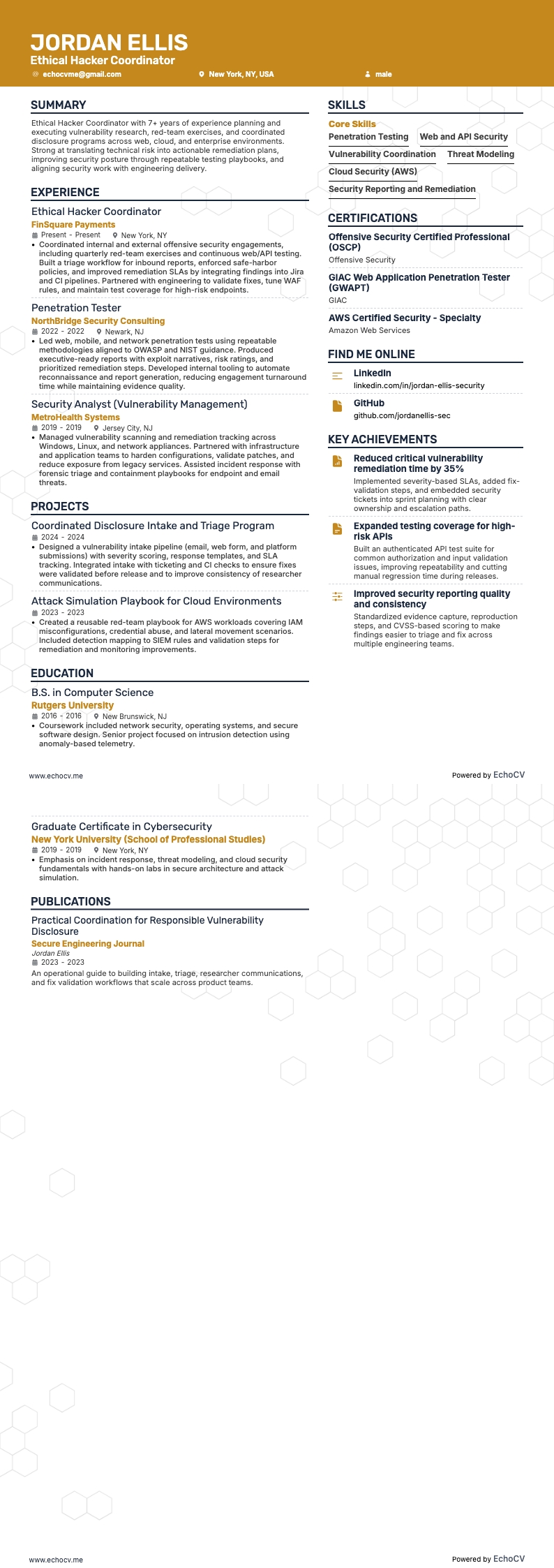 エシカルハッカーコーディネーター example resume