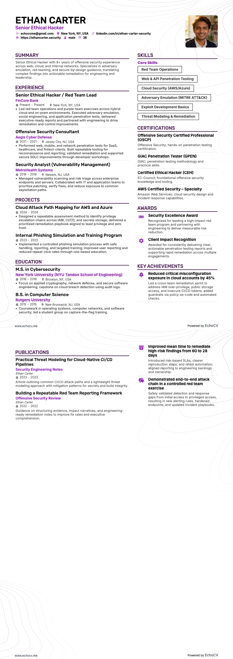 シニア倫理的ハッカー example resume