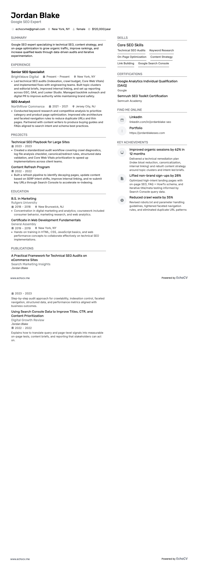 Google SEO Expert example resume