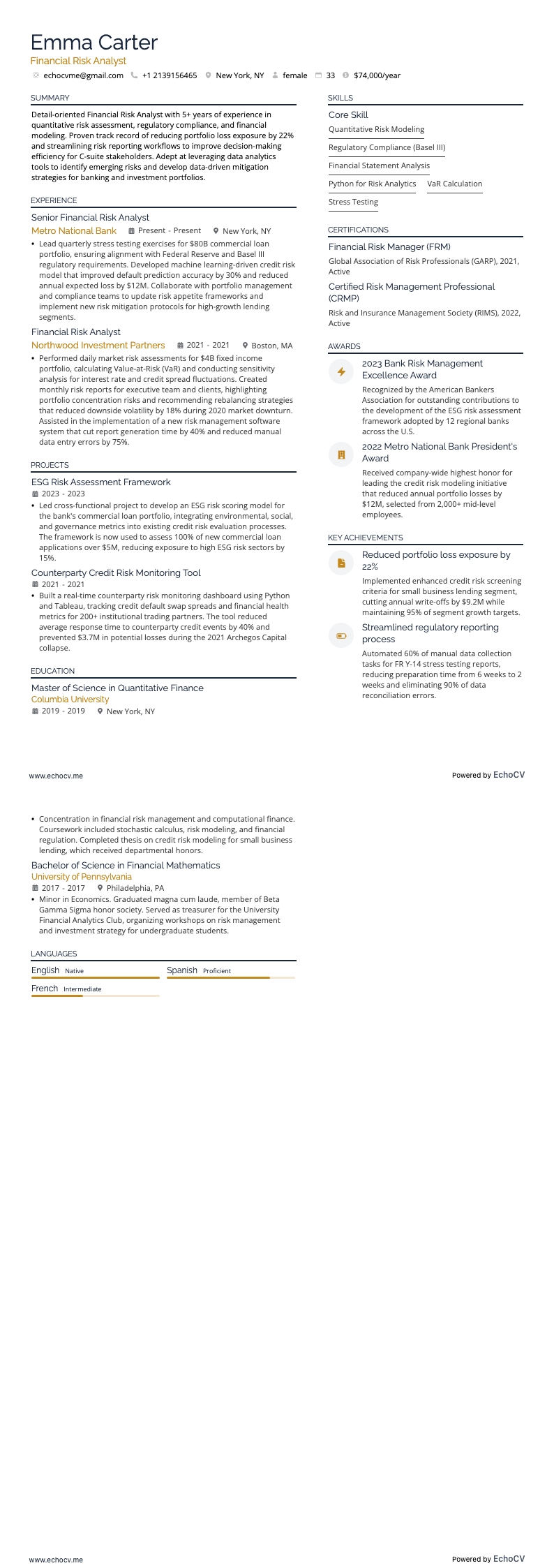 Financial Risk Analyst example resume