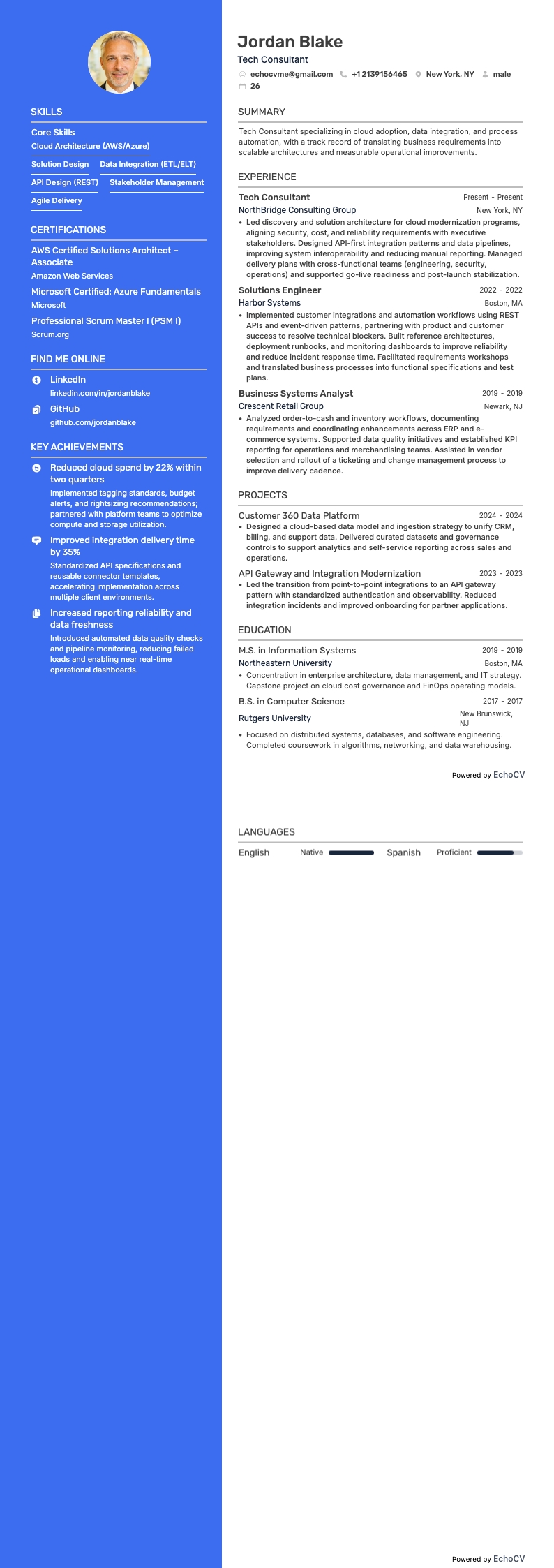 Tech Consultant example resume