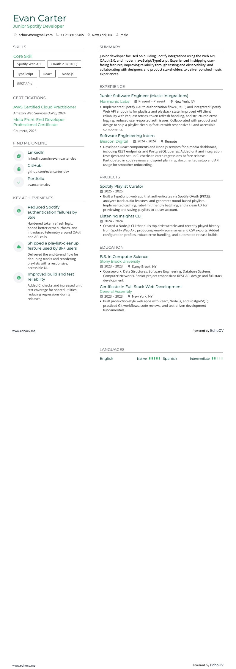 Junior Spotify Developer example resume