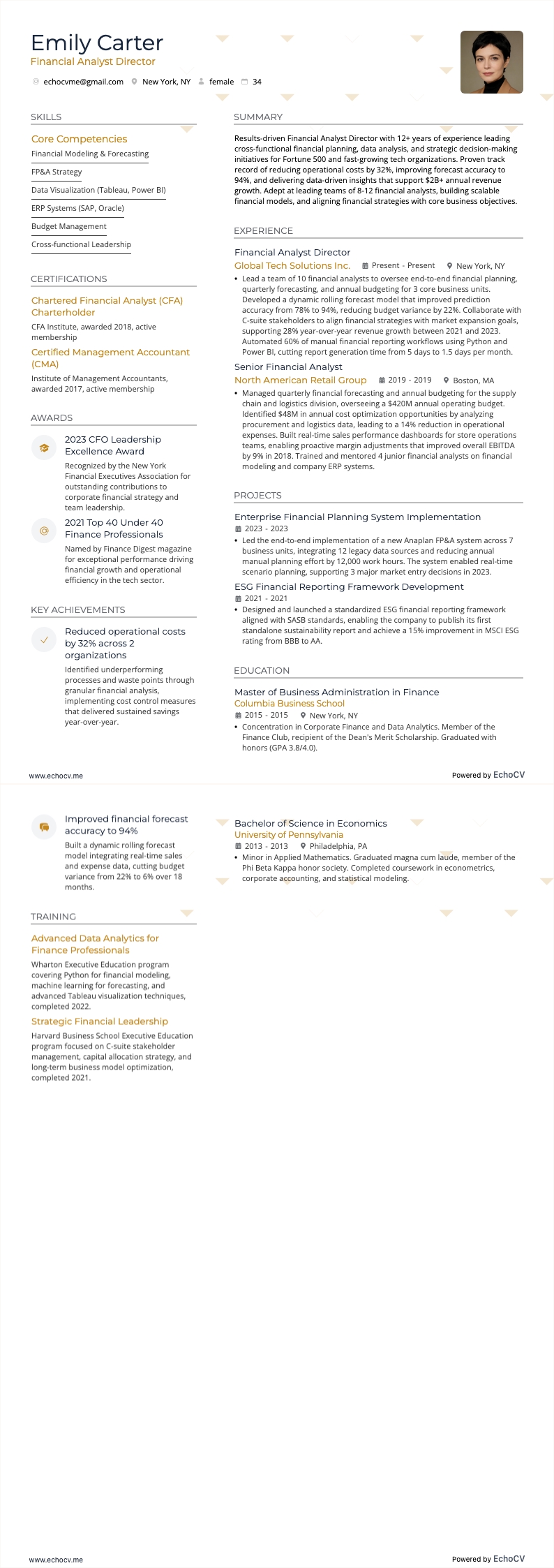 Financial Analyst Director example resume