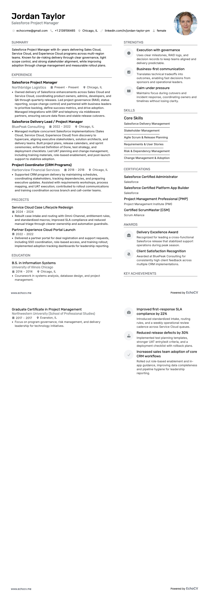 Salesforce Project Manager example resume