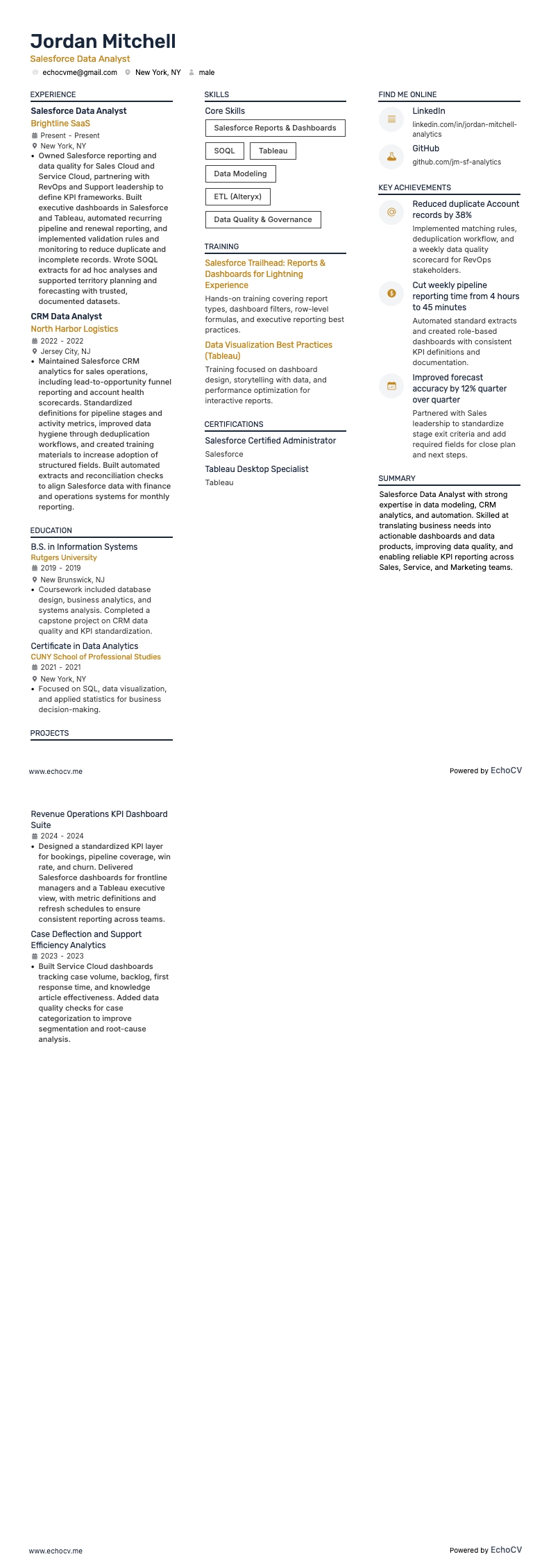 Salesforce Data Analyst example resume