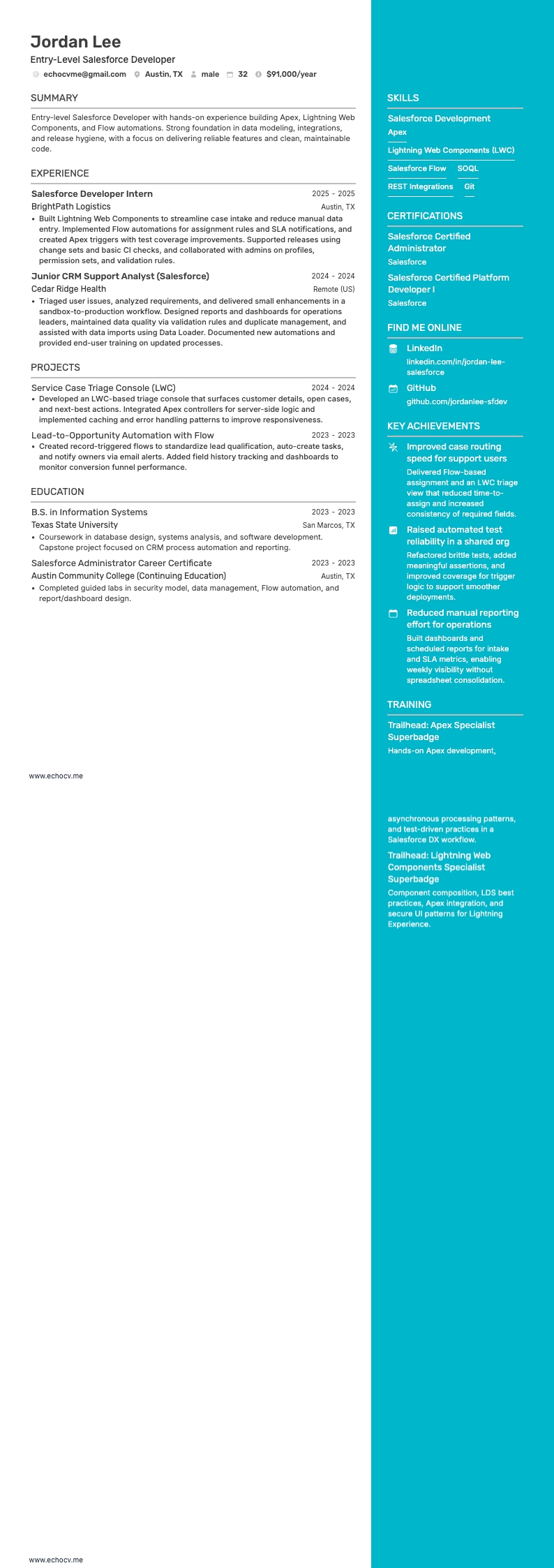 Entry-Level Salesforce Developer full preview