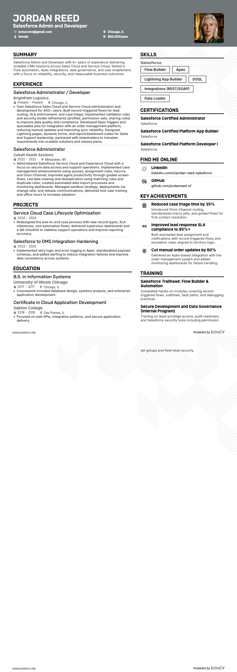 Salesforce 管理员和开发人员 example resume