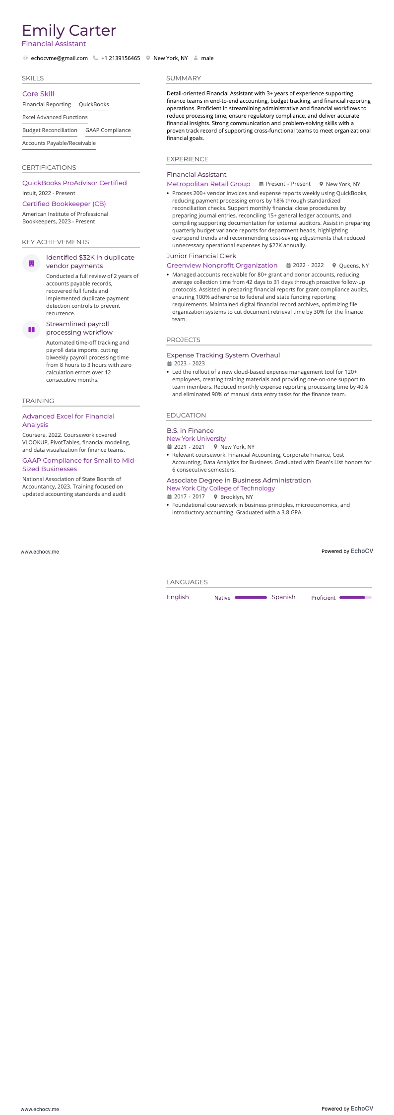 Financial Assistant example resume