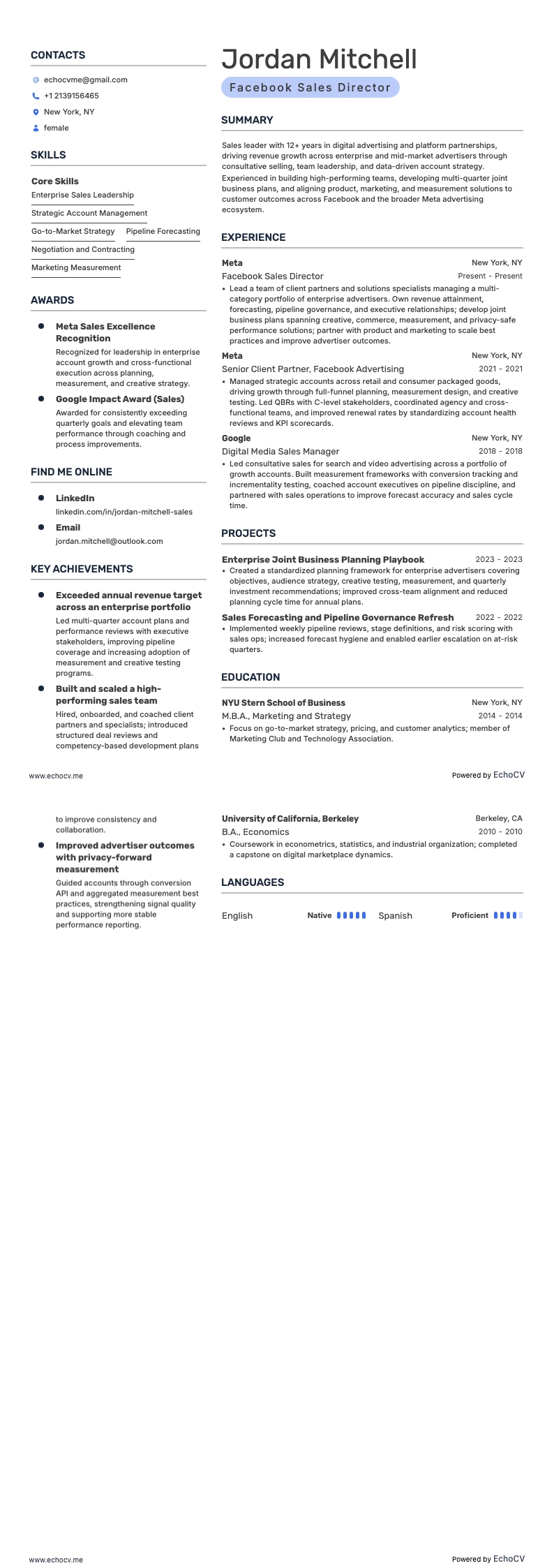 Facebook Sales Director example resume