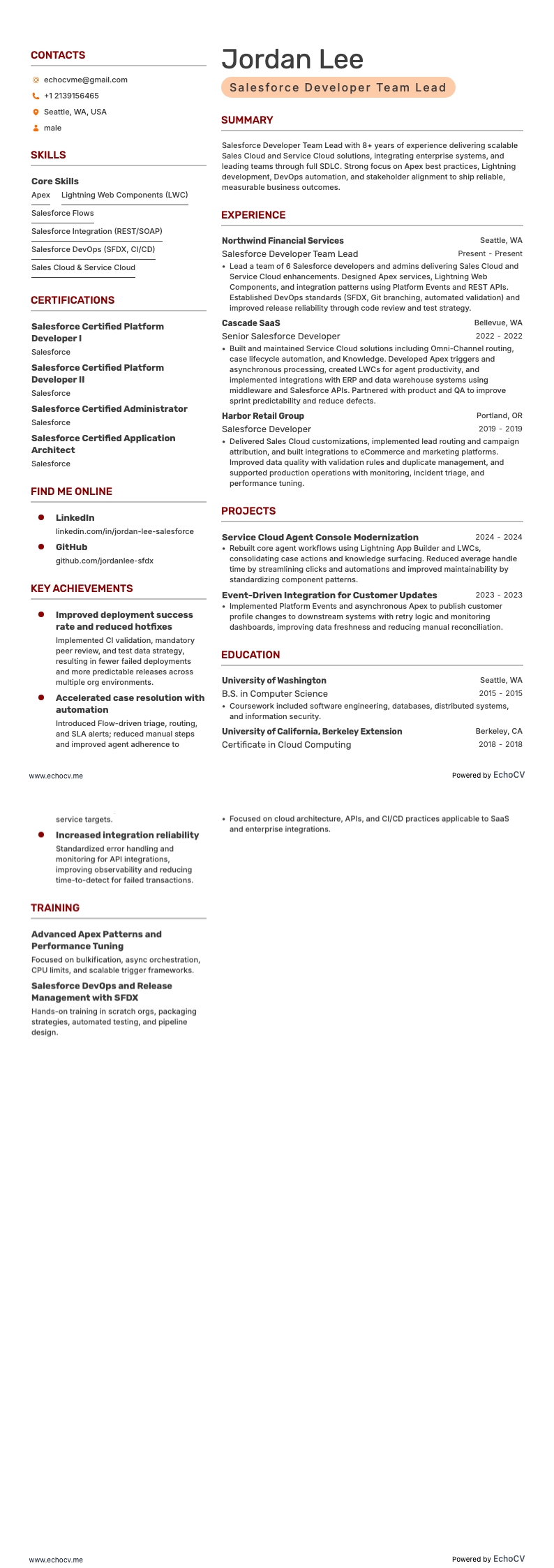 Salesforce-Entwickler Teamleiter Vollvorschau