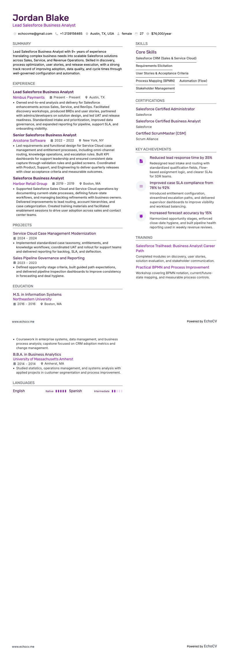 Business Analyst Salesforce Principal example resume