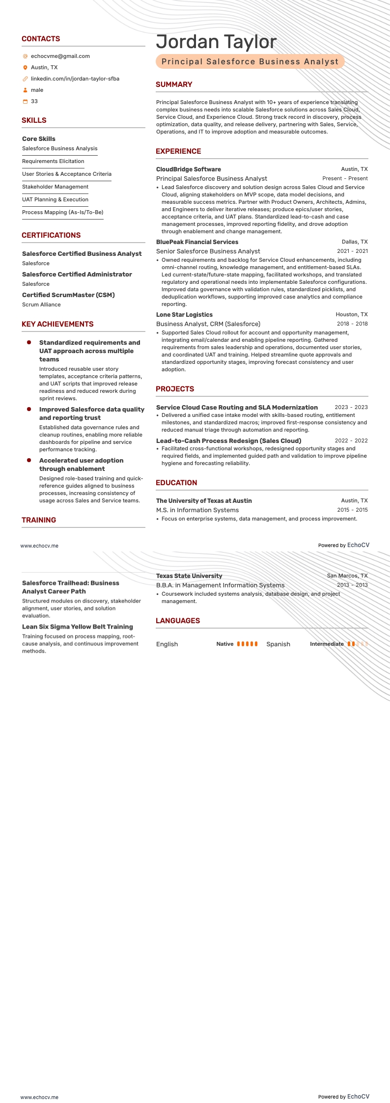 Analyste métier principal Salesforce example resume