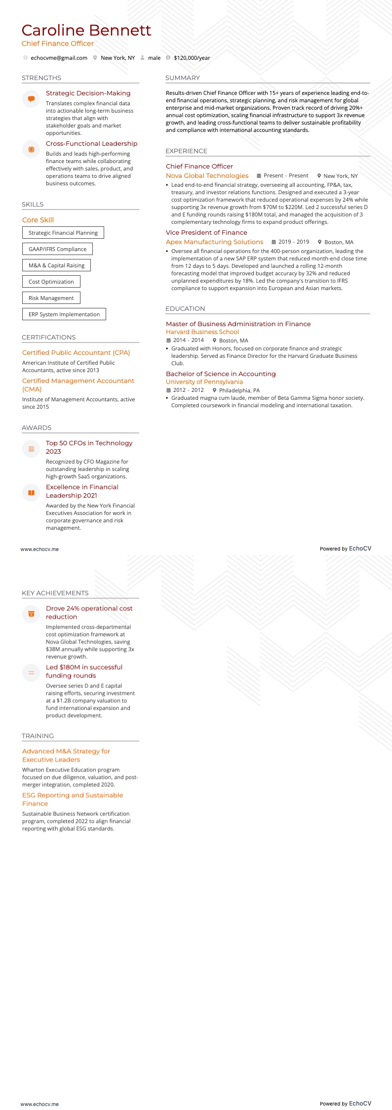 Chief Finance Officer example resume