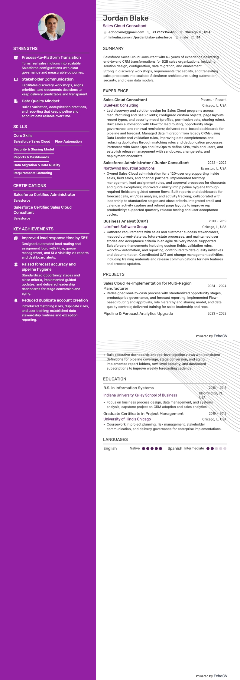 Sales Cloud Consultant example resume