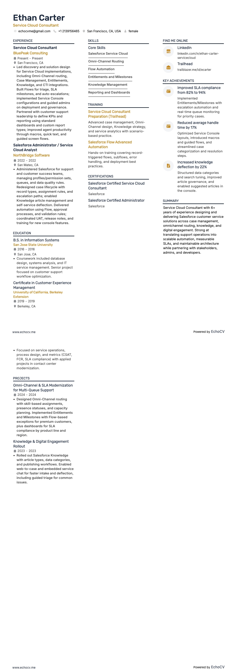Service Cloud Consultant example resume