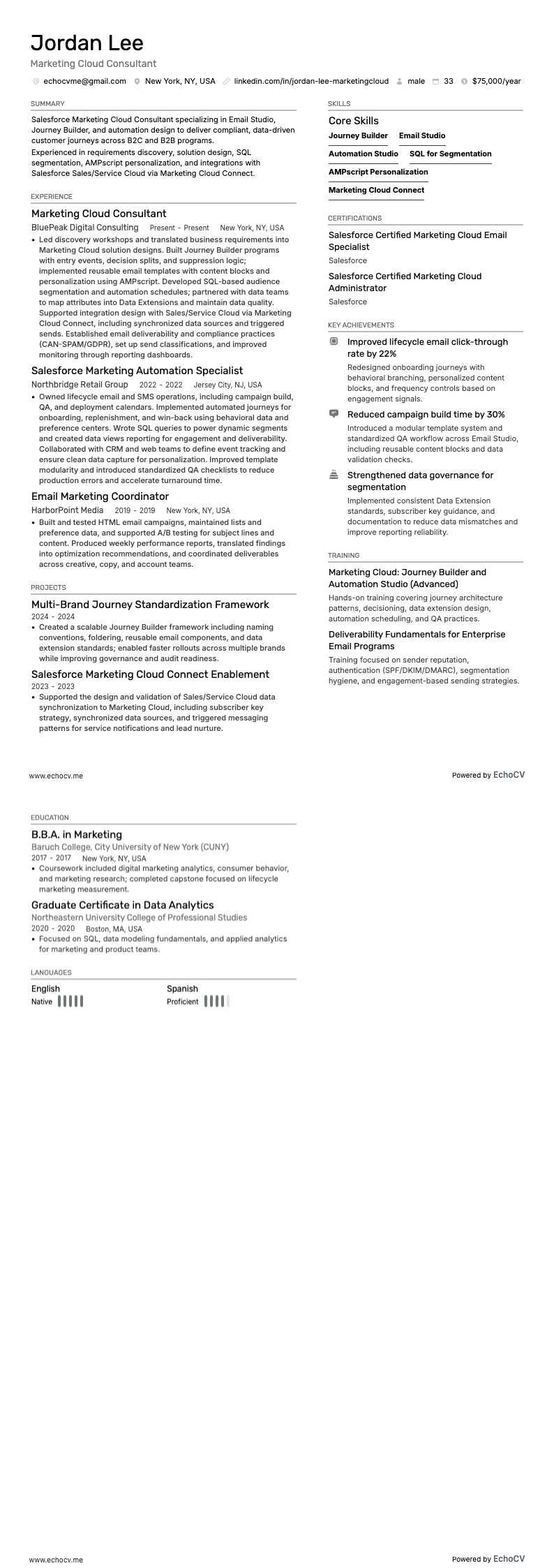 Marketing Cloud Consultant example resume