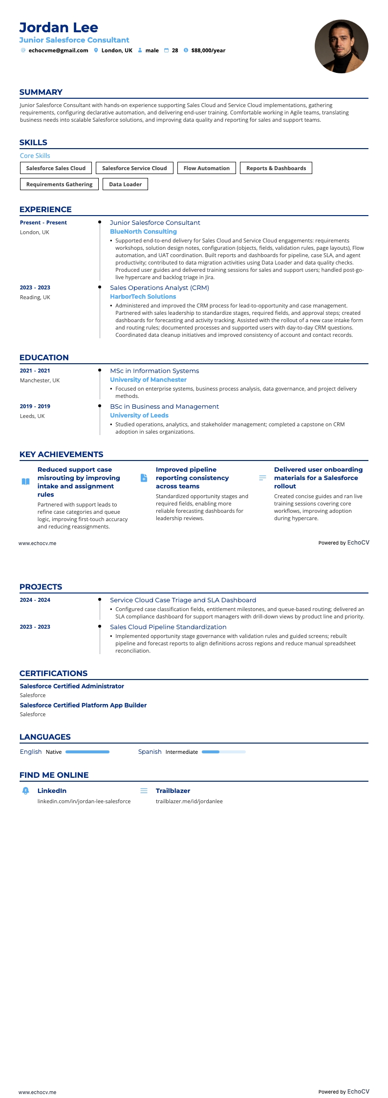 Junior Salesforce Consultant example resume
