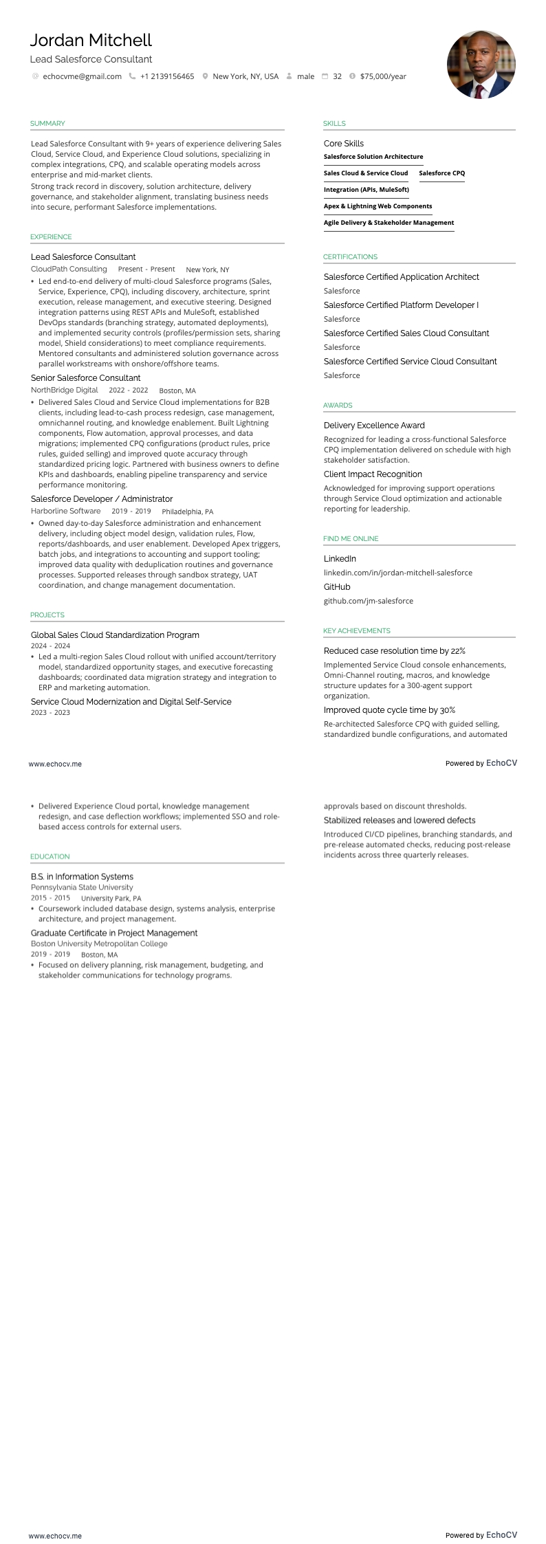 Lead Salesforce Consultant example resume