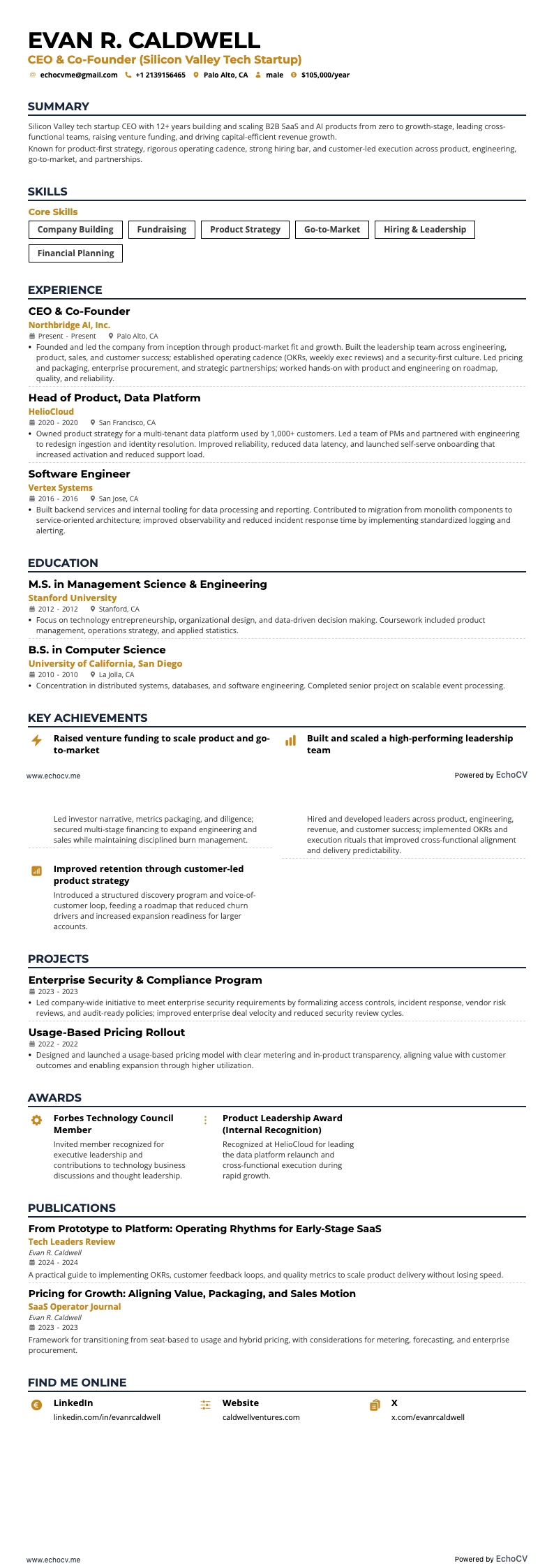 Silicon Valley Tech Startup CEO example resume