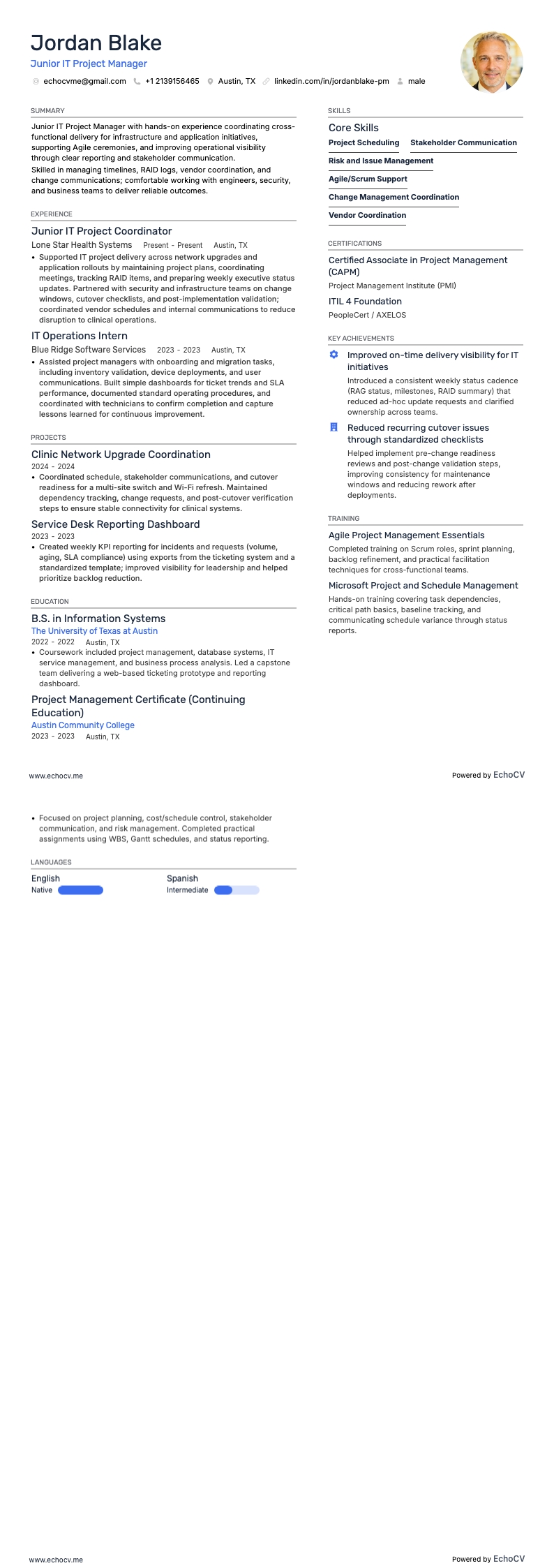 Junior IT Project Manager example resume