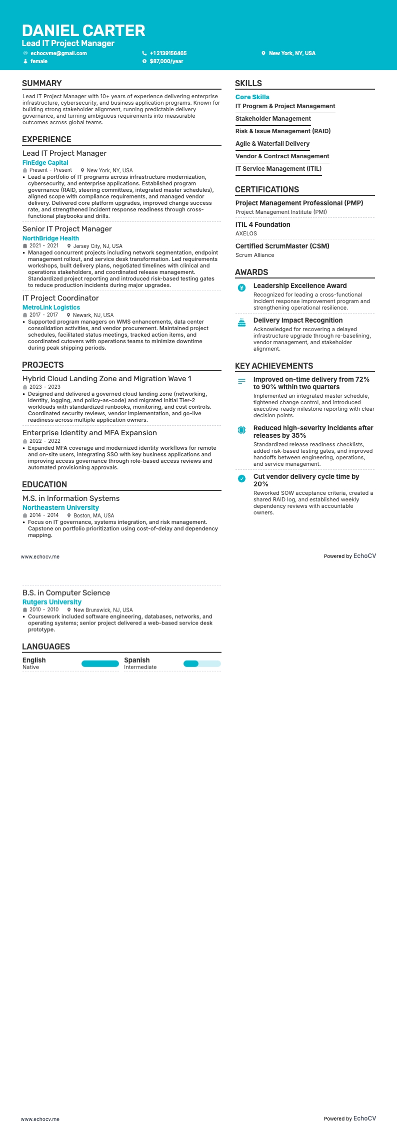 Lead IT Project Manager example resume