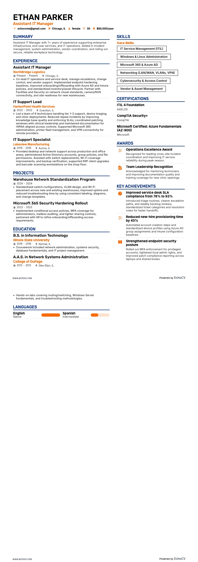 Assistant It Manager example resume