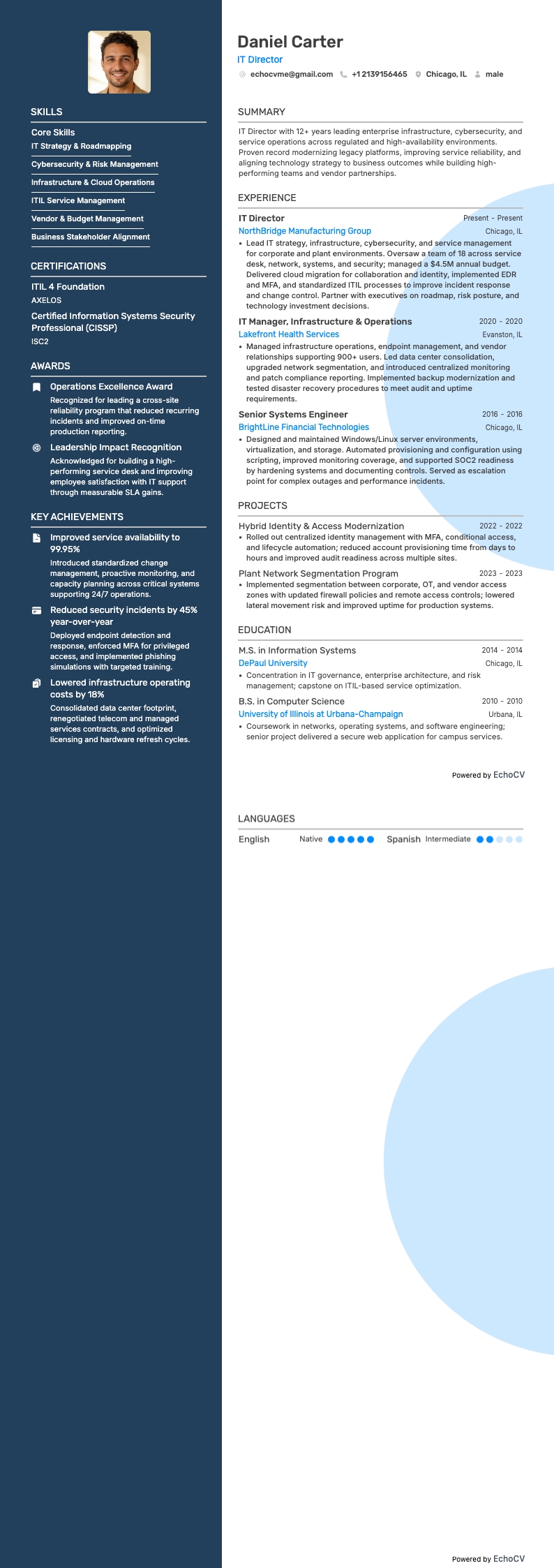 IT 이사 resume example