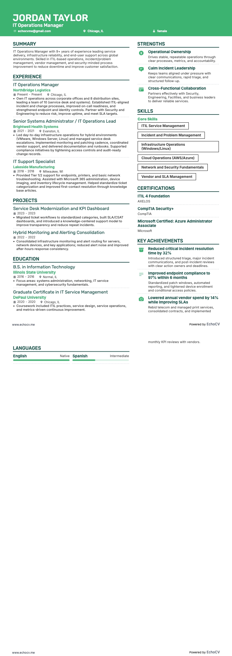 IT Operations Manager example resume