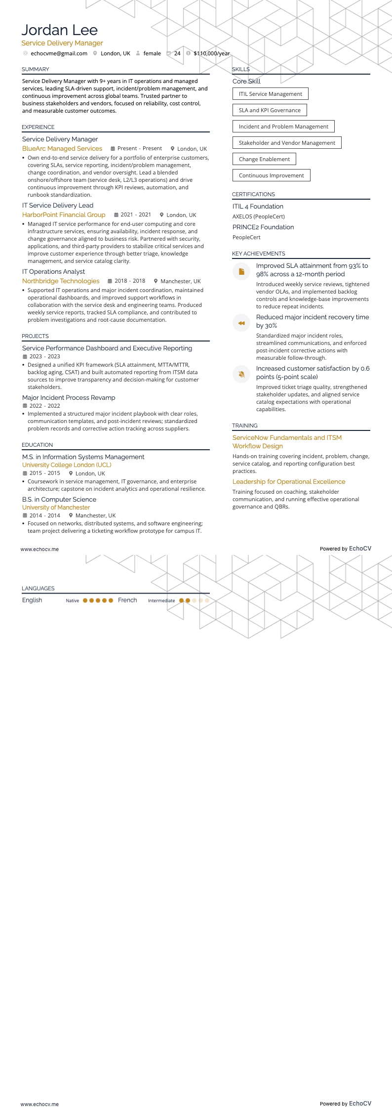 Service Delivery Manager example resume