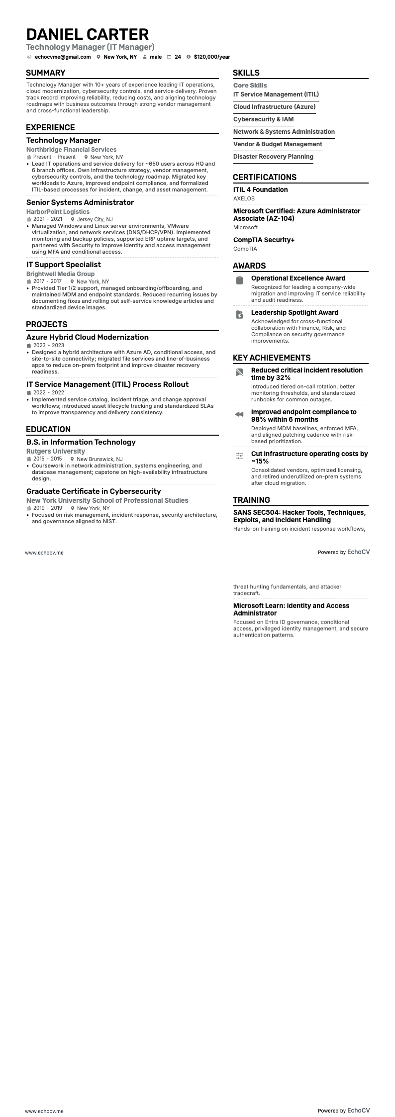 Technology Manager example resume