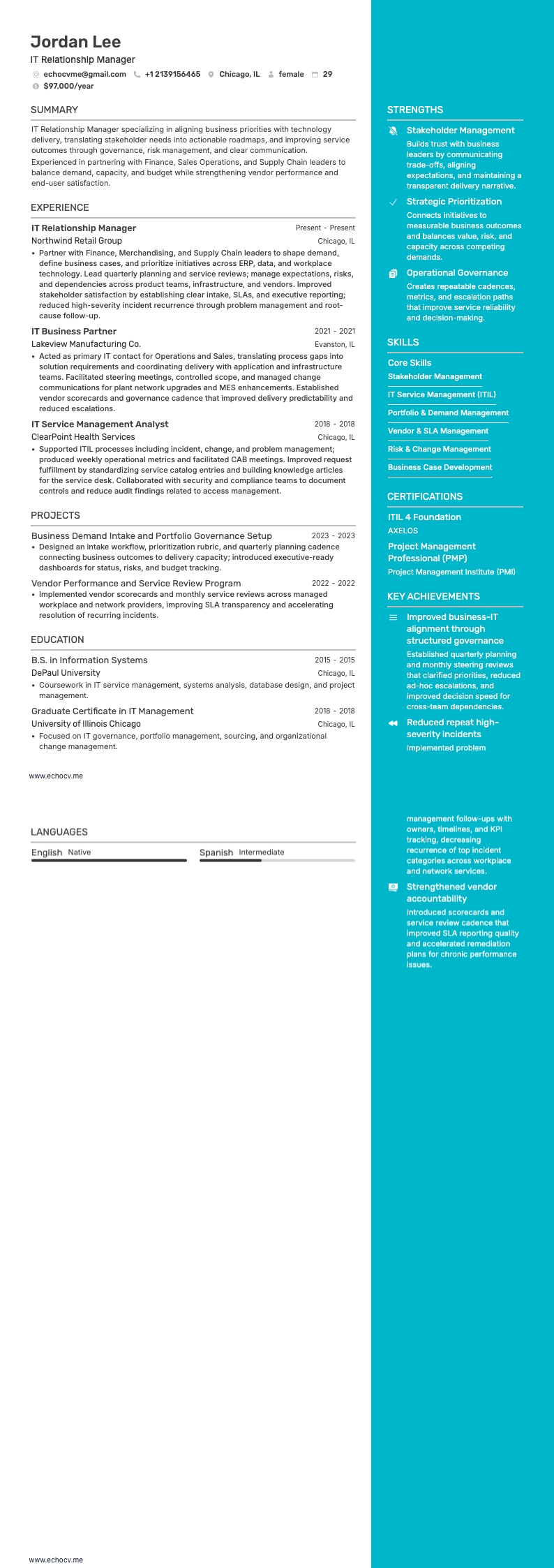 IT Relationship Manager example resume