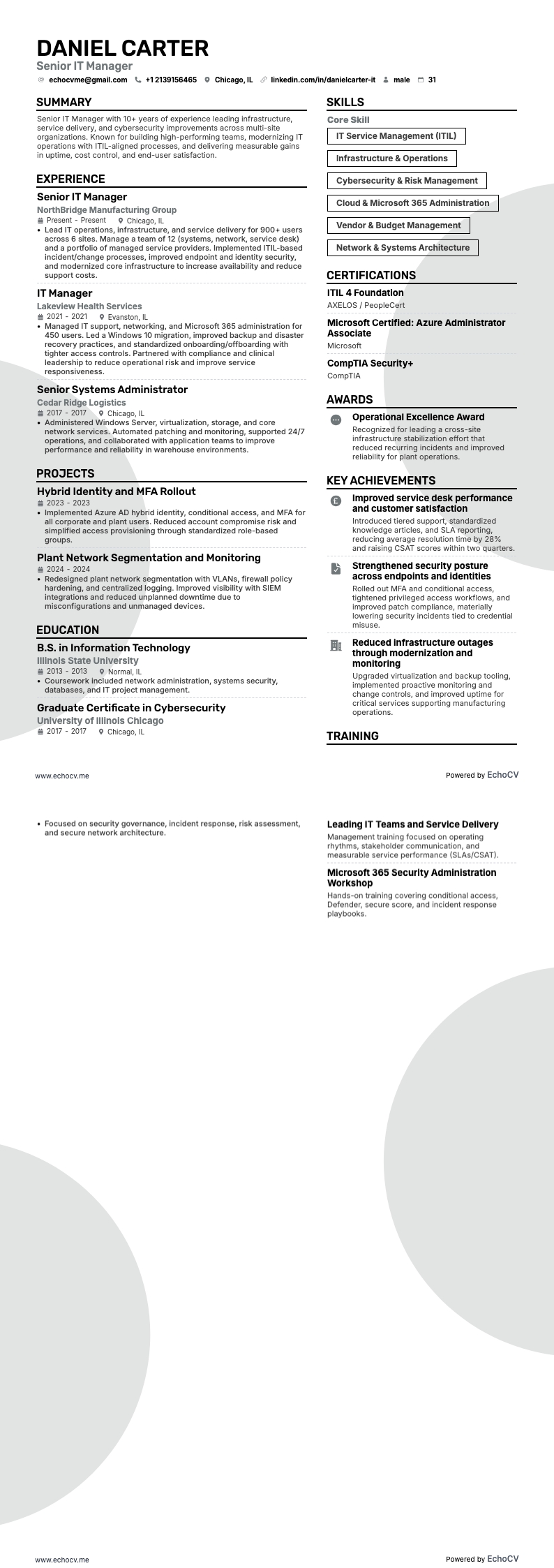 Senior IT Manager example resume