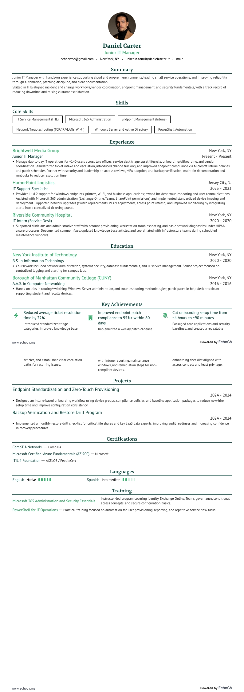 Junior IT Manager full preview