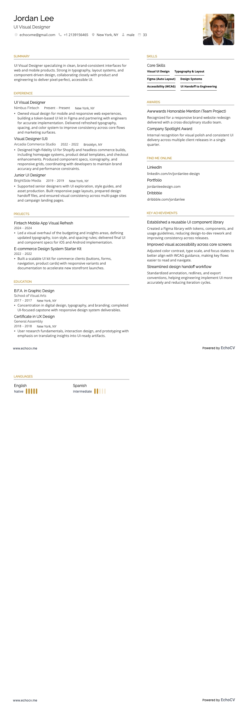 UI Visual Designer example resume