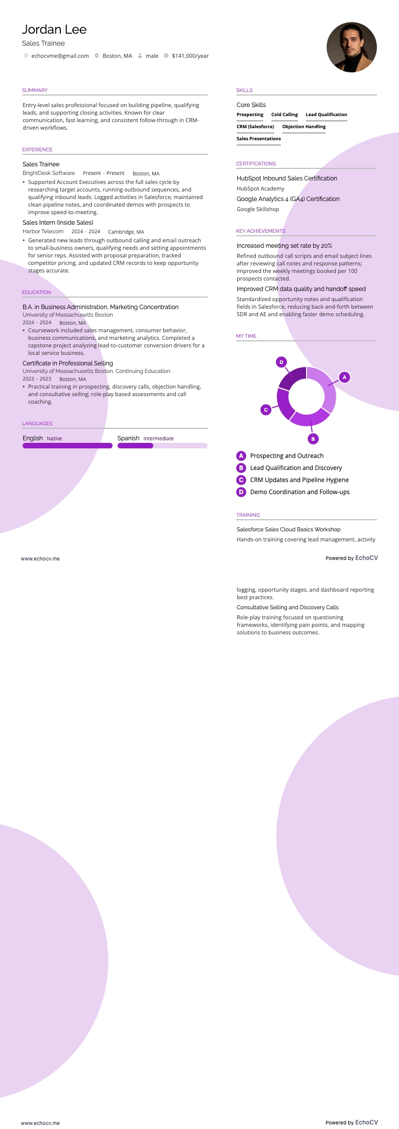 初階銷售 resume example