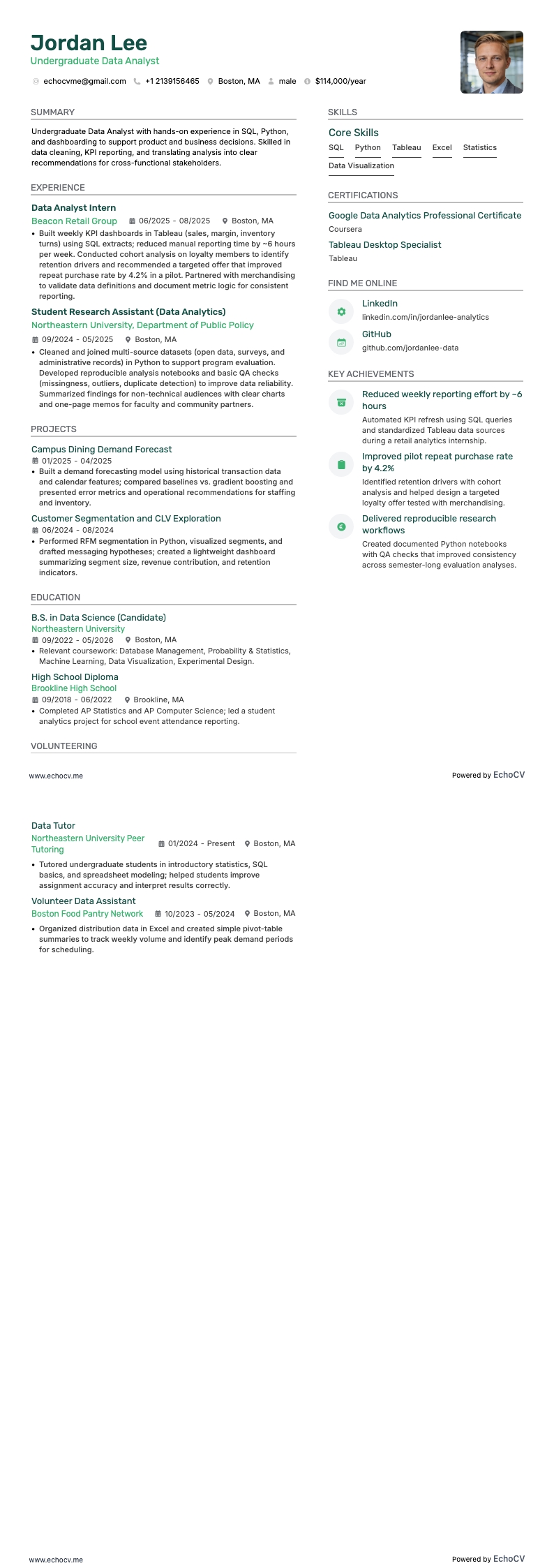 Undergraduate Data Analyst example resume