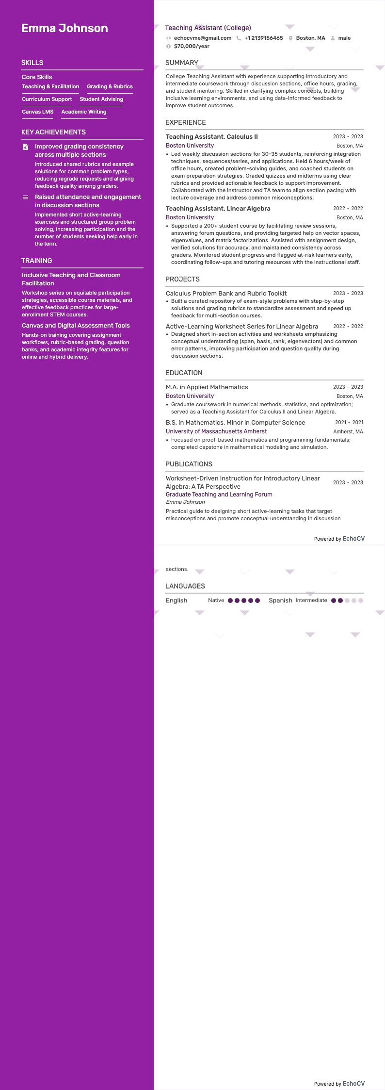 Trợ giảng đại học example resume