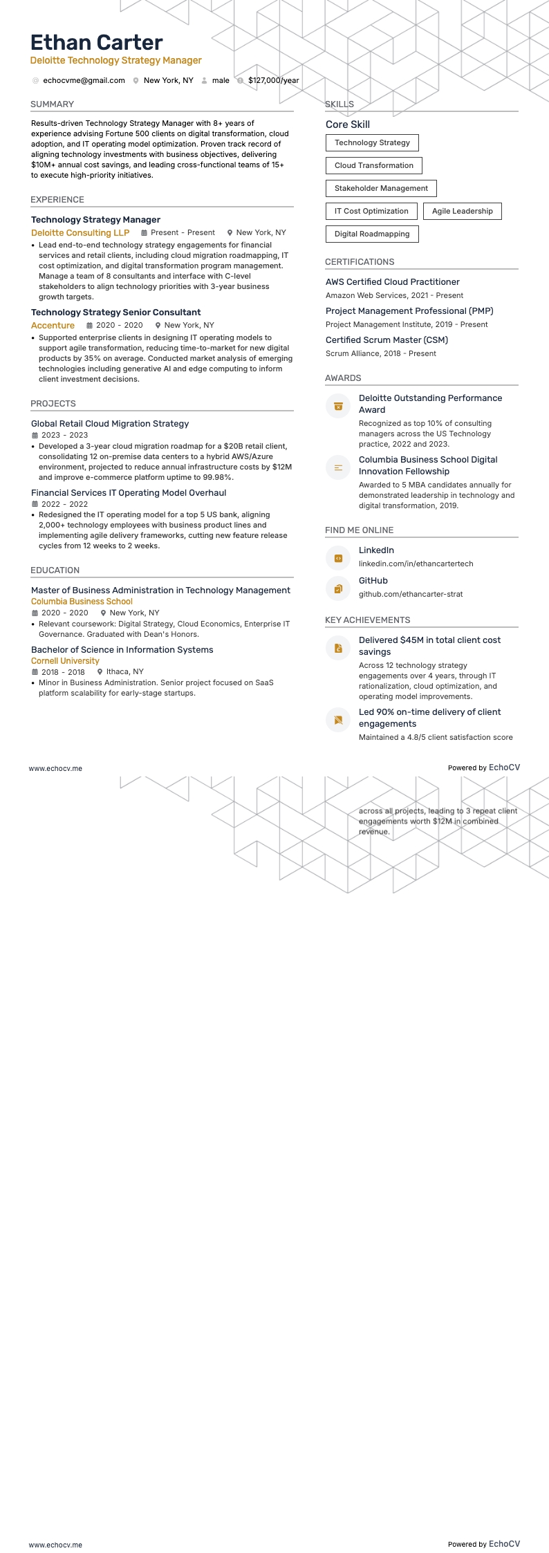 Deloitte Technology Strategy Manager example resume