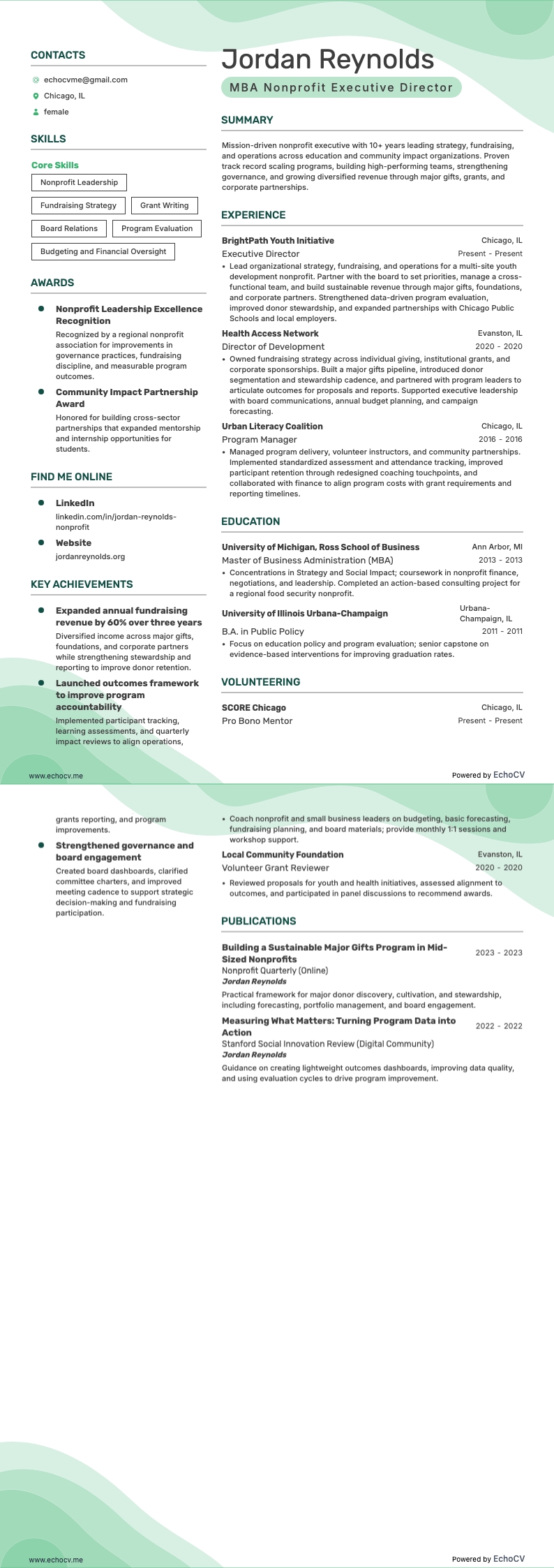 MBA Nonprofit Executive Director example resume