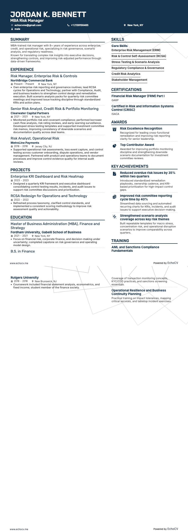 MBA Risk Manager example resume